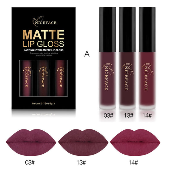 Lip Gloss 3PCS New Fashion Waterproof Matte Liquid Lipstick Cosmetic Sexy Lip Gloss Beauty Kit