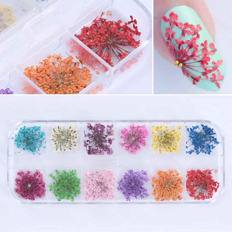 12 Patterns 3D Dry Flowers Stickers Dried Nail Art Decoration DIY Manicure Tools w/box # 5004