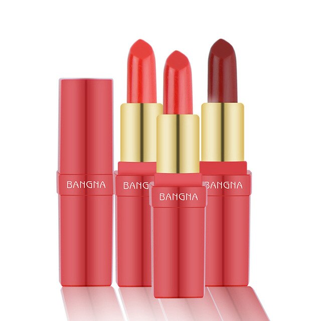 Women's Fashion 5Color/Set Makeup Lip Lipstick Lasting Lip Gloss Waterproof Matte Velvet