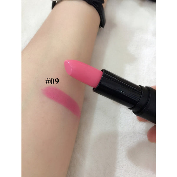 Pro Lips Makeup Moisturizing Matte Lipstick Sexy Waterproof Long Lasting Easy To Wear Lip Stick Gloss Cosmetic 12 Colors