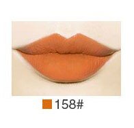 NEW Long Lasting Kiss-proof Matte Waterproof Sexy Lip gloss Lip Make up