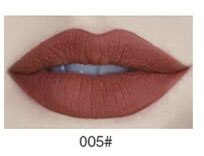 New 16 Colors Sexy Matte Lipstick Makeup Waterproof Long Lasting
