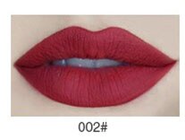 New 16 Colors Sexy Matte Lipstick Makeup Waterproof Long Lasting