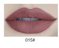 New 16 Colors Sexy Matte Lipstick Makeup Waterproof Long Lasting