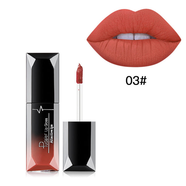 New Professional Matte Lipstick 21 Colors Lip Gloss