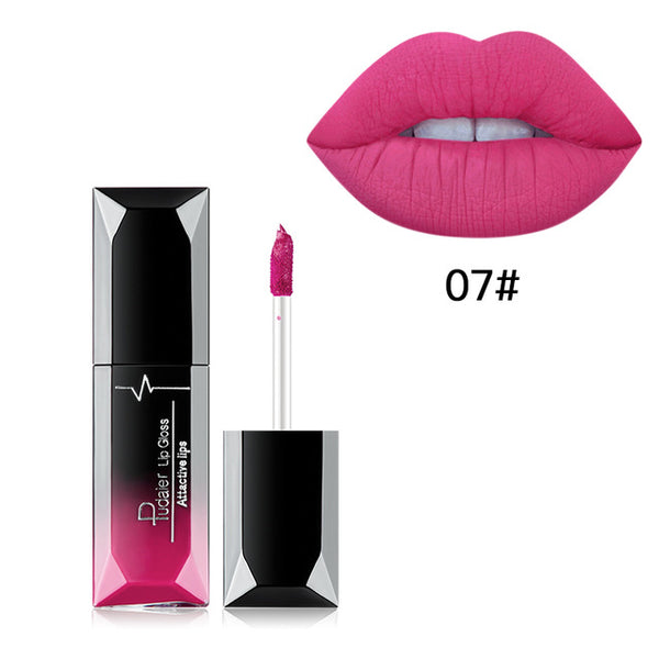 New Professional Matte Lipstick 21 Colors Lip Gloss