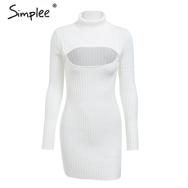 dress Long sleeve autumn dress winter party
