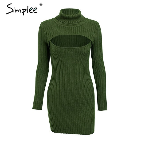 dress Long sleeve autumn dress winter party