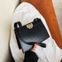 products/Luxury-Women-Bag-Casual-Bag-Designer-Chic-Lock-Ladies-Shoulder-Bag-Female-Party-Opponents-Take-Bag.jpg_640x640_c39304c5-84e4-4779-8279-c0aae999f1be.jpg