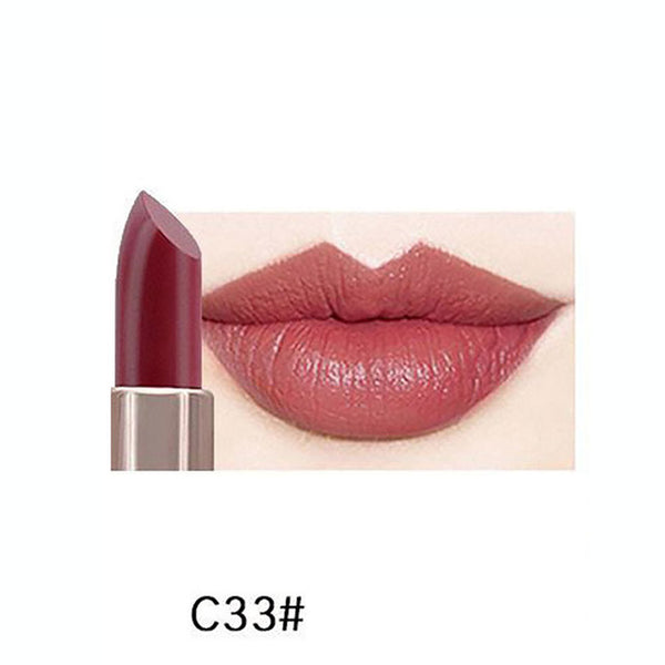 Fashion Lipstick Beauty Cosmetics Waterproof Long-lasting Women Velvet Matte Lipstick Lip Gloss Professional Makeup