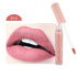Professional Makeup Lip Gloss Sexy Long Lasting Waterproof Lip Liquid Matte Pencil Lipstick Lip Gloss Beauty Comestic