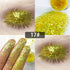 products/New-Dreamy-Glitter-Eyeshadow-34-Colors-Sparkles-Gel-Cream-Bright-and-Dazzling-Eye-Shadow-Professional-Festival.jpg_640x640_a1752bd8-1dc7-4502-8dba-20c2443c4009.jpg