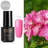 products/ROSALIND-7ml-Gel-nail-polish-Hybrid-manicure-Set-For-Poly-gel-painting-art-UV-LED-Lamp.jpg_640x640_a502014c-b781-4210-91d3-357797b73e41.jpg
