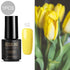 products/ROSALIND-7ml-Gel-nail-polish-Hybrid-manicure-Set-For-Poly-gel-painting-art-UV-LED-Lamp.jpg_640x640_d808c775-255e-4600-9dc2-f510ee03c7e0.jpg